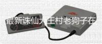 最新诛仙大王村老狗子在哪